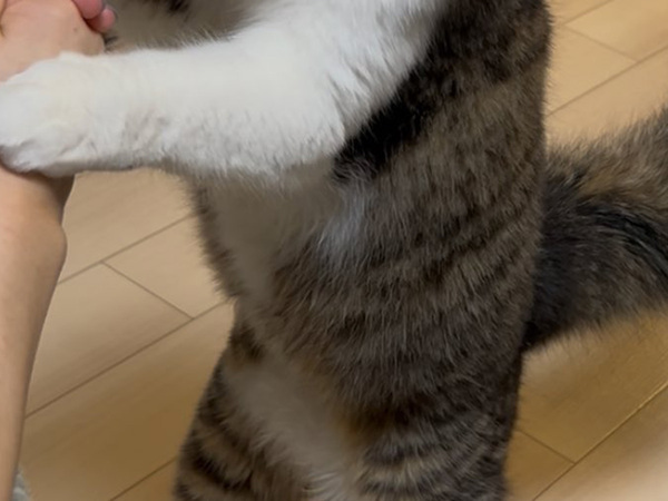 「おやつは遊びじゃねーんだよ！」　１０万『いいね』を集めた食事風景とは…