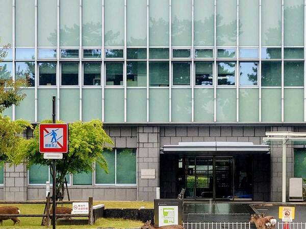 裁判所に入っていく『御一行』　奈良らしい１枚に「想像したら吹いた」「離婚調停とか？」