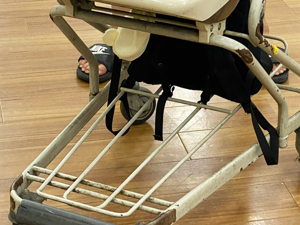 店内カートに乗る生後８か月の娘　その姿が？「もう優勝でしょ」「勝てる気がしない」