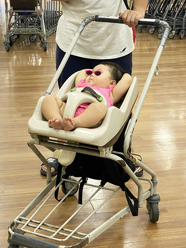 店内カートに乗る生後８か月の娘　その姿が？「もう優勝でしょ」「勝てる気がしない」