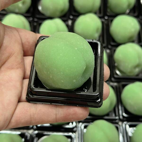 食べられないはずの『青梅』を丸ごと…　実はコレ「興味わく」「食べに行ってみたい」