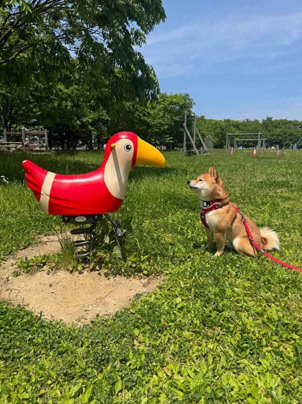 「えーと…どちらの出身ですか？」　ちょっと気まずい『２匹』に「笑っちゃった」