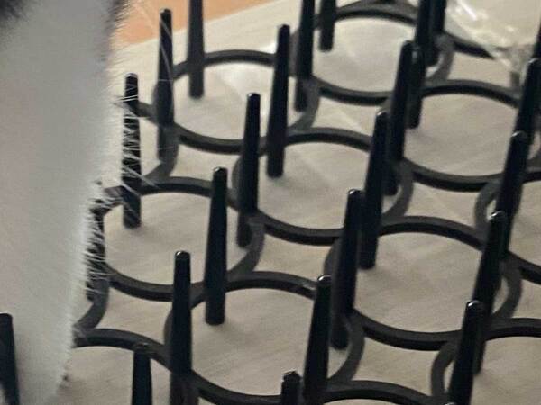 『猫よけシート』を買った飼い主　その後…？「爆笑」「イヤじゃないの？」