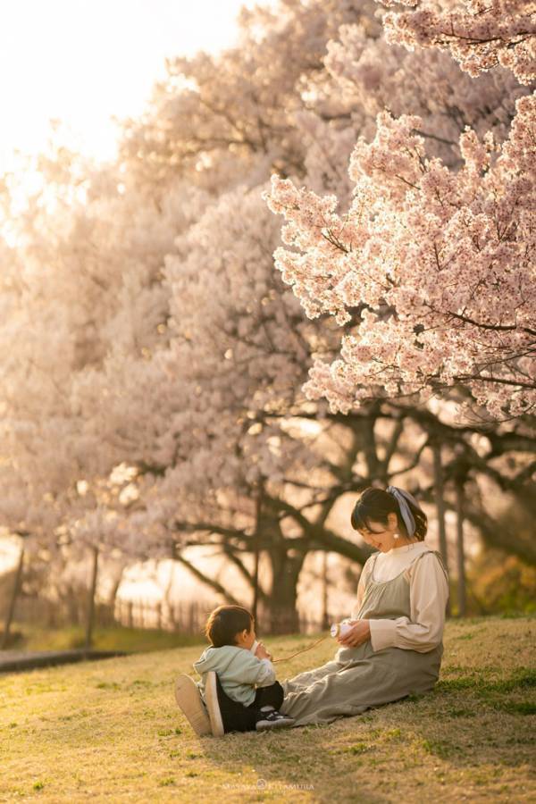 妹に会うのを心待ちにしていた、長男　『２年後』の姿に「感動」「涙あふれた」