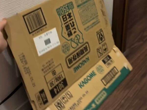 「ダンボールはすぐ捨てて」　そのままにしておくと『ヤバい理由』に「ヒッ」「すぐ片付ける」