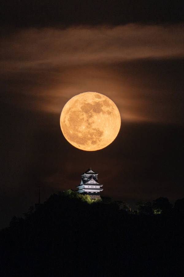 「すごすぎる」「いいことがありそう」　黄金の『満月』と一緒に写っていたのは…？