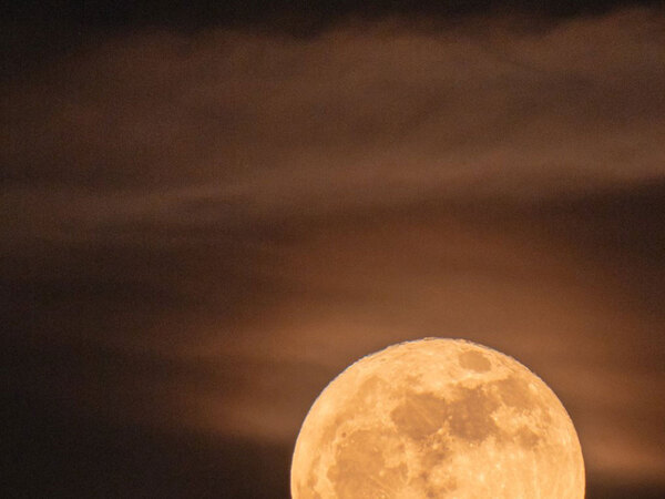 「すごすぎる」「いいことがありそう」　黄金の『満月』と一緒に写っていたのは…？