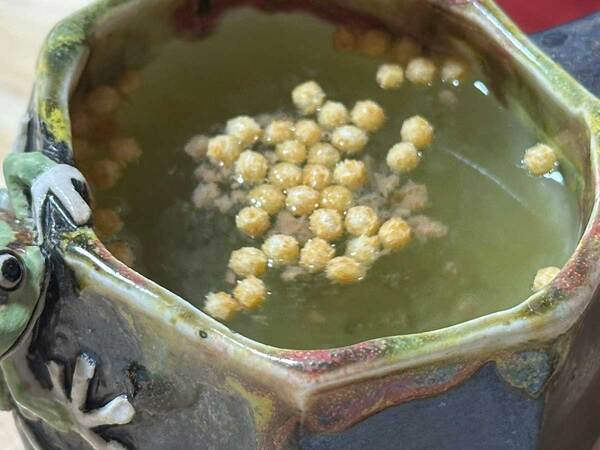 マグカップに『１０万いいね』のワケ　「一瞬、本物かと…」「センス良い」