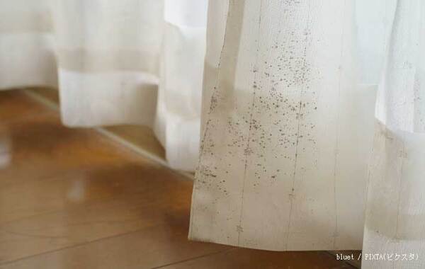 カーテンを洗う時の注意点は？　メーカーの回答「レールから外す前に…」