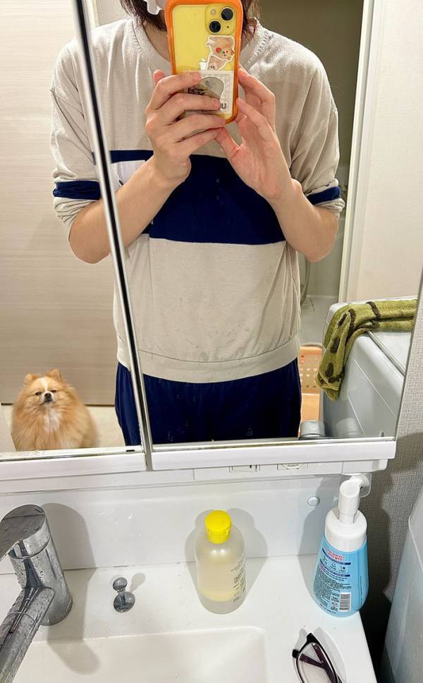 顔パックする飼い主　ポメの表情に「笑った」「好きすぎる」