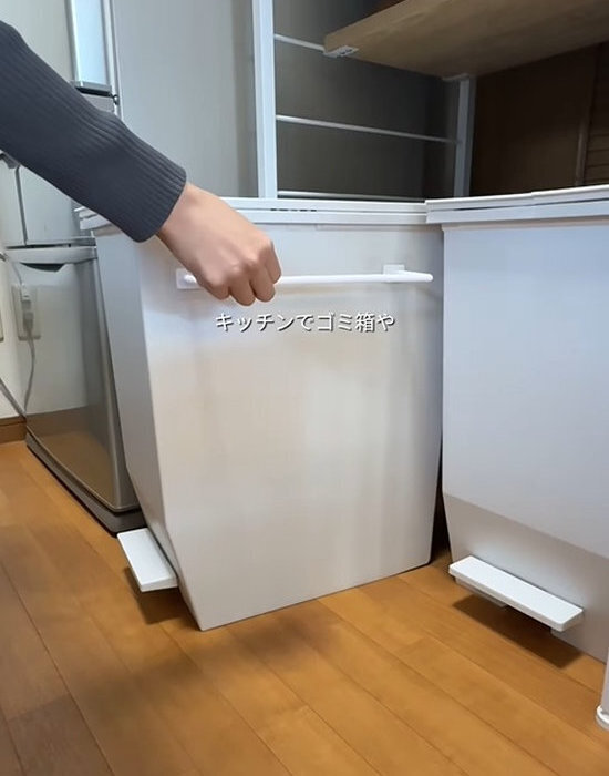 賃貸でも安心！　穴をあけずに収納が叶う１００均グッズに「知らなかった」「参考になる」