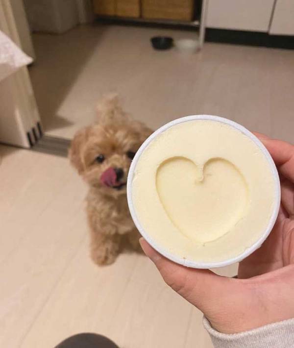 「違うところに目がいってしまう」　ハーゲンダッツの写真に写り込んだのが…