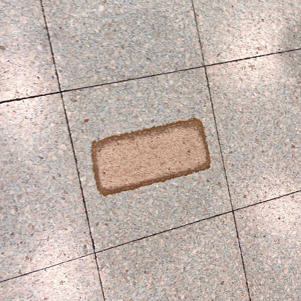 「笑いすぎて目が覚めた」「発想が天才」　点字ブロックが付いたマンホールを、よく見ていると？