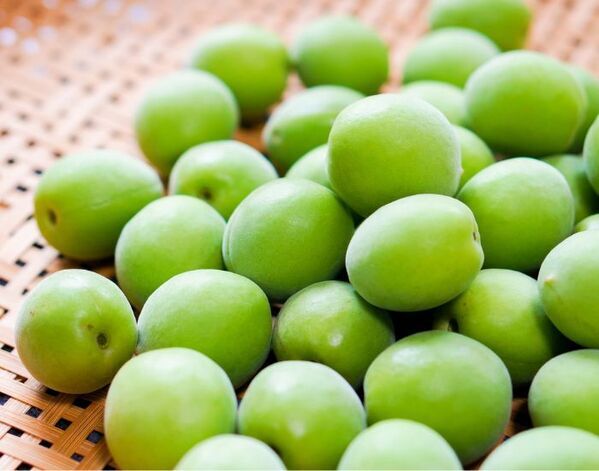 保健医療局「有毒です」　梅酒作りの注意喚起に「ついつい食べちゃいそう」