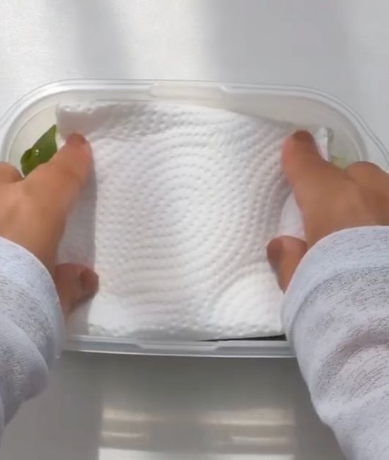 刻みネギを冷凍する時は…　今すぐ試したくなる目からウロコの冷凍テク３選