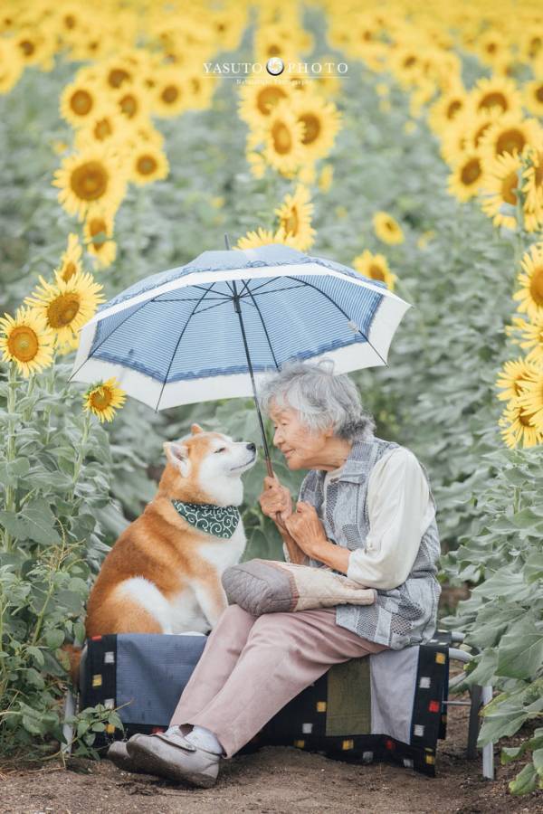 「この瞬間がずっと続いてほしい」　愛犬が優しく見つめるのは？