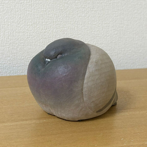 ハトが休んでいると思いきや…　体をよく見ると？「これはすごい」「指を突っ込みたい」