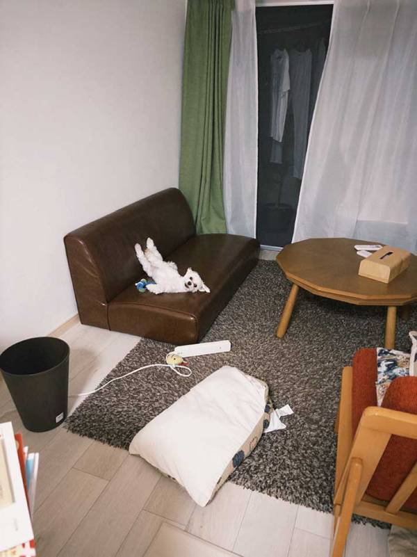 「本当に犬なのかな…」飼い主が目撃したのは？　愛犬の写真に１７万『いいね』