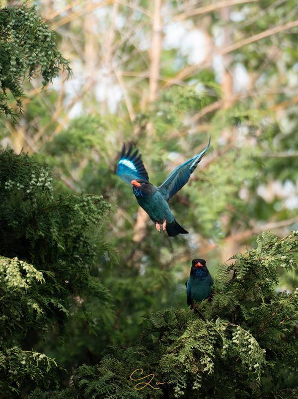「うまくいくといいなぁ～」　ぎこちない『カップル』の１枚に反響！