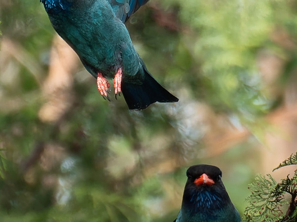 「うまくいくといいなぁ～」　ぎこちない『カップル』の１枚に反響！