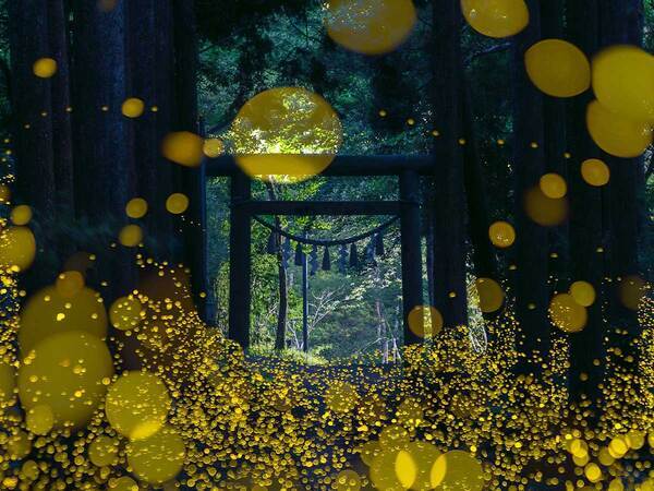 カメラを２時間回しっぱなしにして…　とらえた絶景に「現世とは思えない」