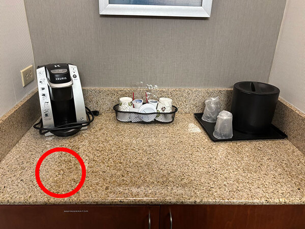 「この画像のどこかに指輪があります」　諦める人が続出した１枚に「これは無理だわ」