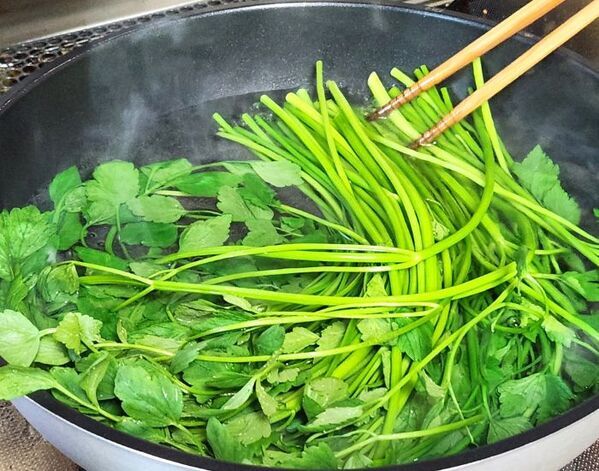 山菜採りで命の危険も　見分けづらい毒草に「知らなかった」「ゾッとした」