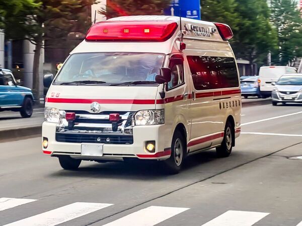 山菜採りで命の危険も　見分けづらい毒草に「知らなかった」「ゾッとした」