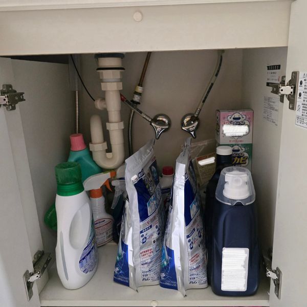 『押入れラック』を洗面台で？　まさかの活用に「これは便利」「絶対やる」