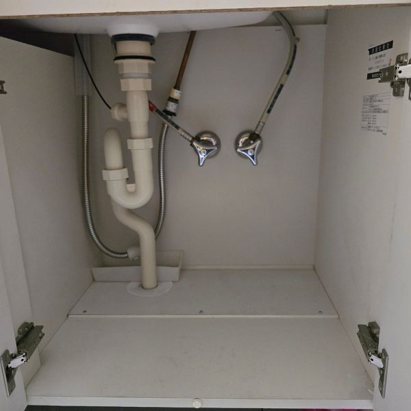 『押入れラック』を洗面台で？　まさかの活用に「これは便利」「絶対やる」