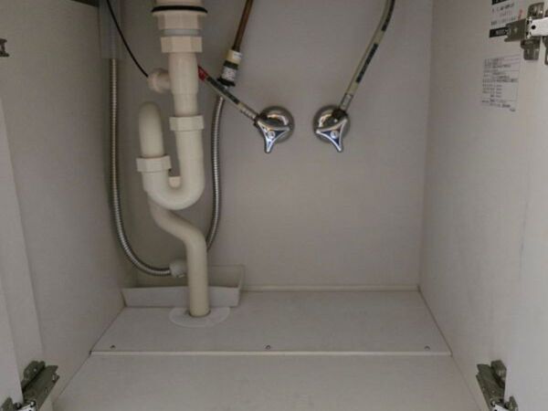 『押入れラック』を洗面台で？　まさかの活用に「これは便利」「絶対やる」