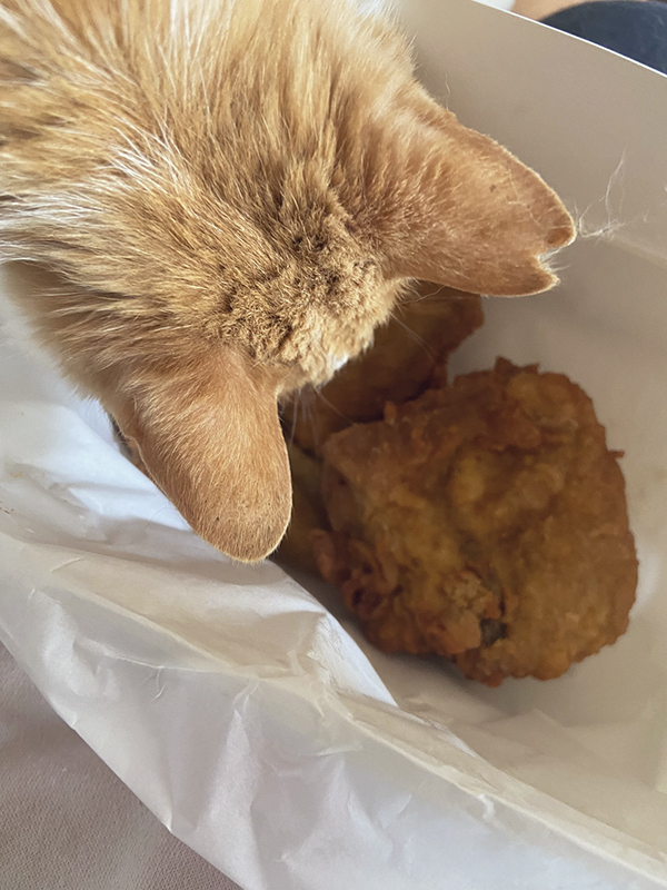 ケンタッキーを食べようとした女性　現れた野次馬が？「近いって！」「圧が強すぎる」