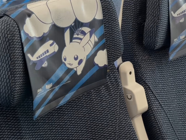 ANAの『特別機』に遭遇した外国人が大興奮　「これ乗りたい」「最高」