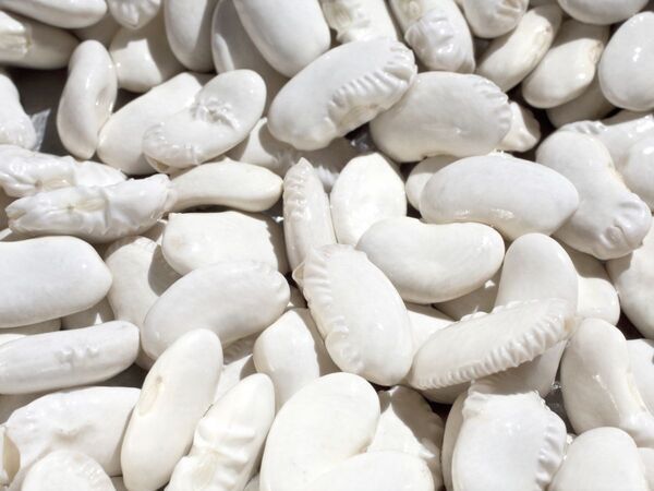 そのまま食べると危険な食材　症状に「ゾッとした」「家庭にもある」