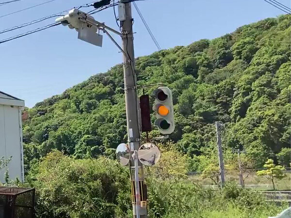 「これは珍しい」「初めて見た」　３０秒の動画に映っていた激レアなものとは