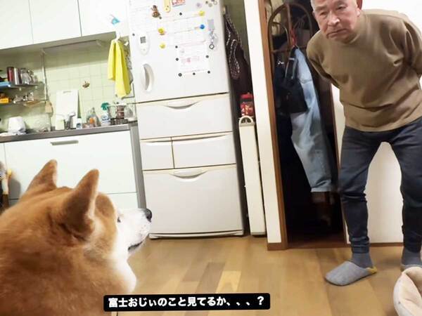 「ふざけているのかと…」「ニワトリみたい」　柴犬に怒るおじいちゃんが…？