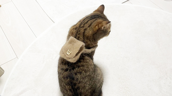 愛猫の抜けた毛を集めて？　とった行動に「この発想はなかった」「すごい！」