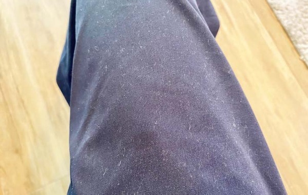 キャンドゥのホコリ取り　柄の部分に別の機能があって…？