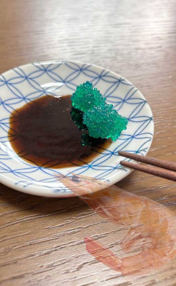 甘エビの卵、かと思ったら…？　「なんだこれ！」「着眼点がすごい」