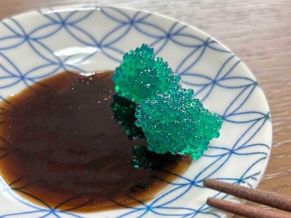 甘エビの卵、かと思ったら…？　「なんだこれ！」「着眼点がすごい」