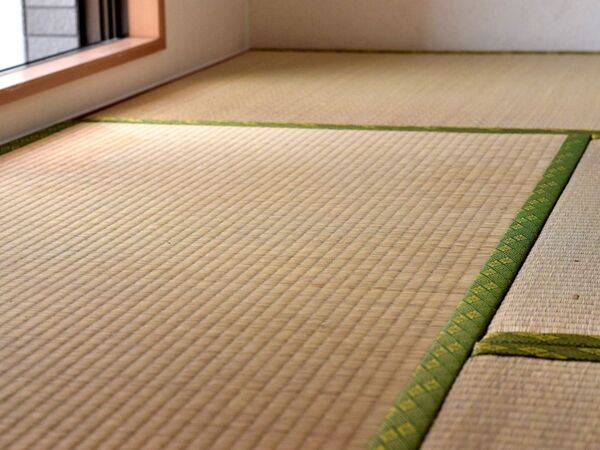 カビ取りに重曹は逆効果？　畳掃除でやりがちな失敗に注意