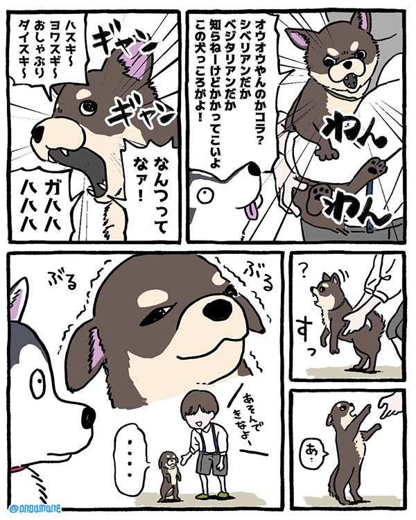 ハスキーに吠え続けるチワワ　人間から離れると？「マジでこれ」「再現度高すぎでしょ」