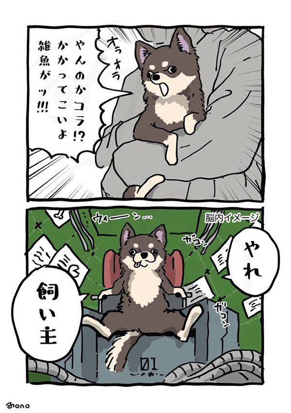 ハスキーに吠え続けるチワワ　人間から離れると？「マジでこれ」「再現度高すぎでしょ」