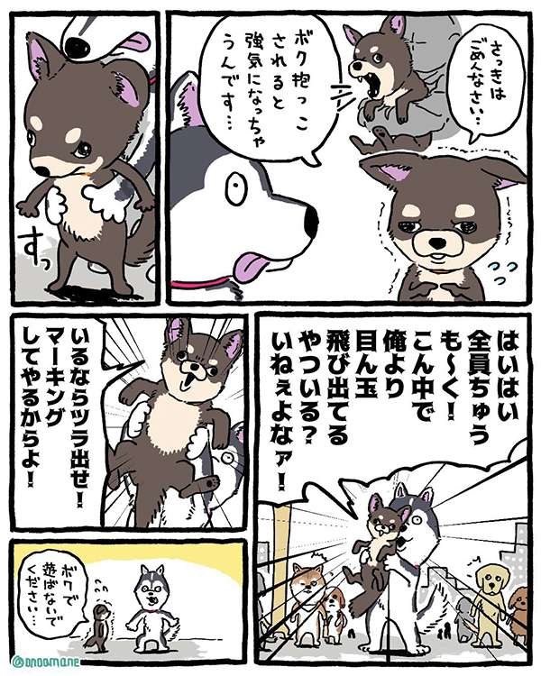 ハスキーに吠え続けるチワワ　人間から離れると？「マジでこれ」「再現度高すぎでしょ」