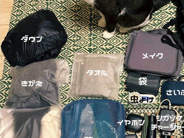 旅行準備中の飼い主を見た猫　その後の行動に「一緒に行く気だ」「準備ばっちり」