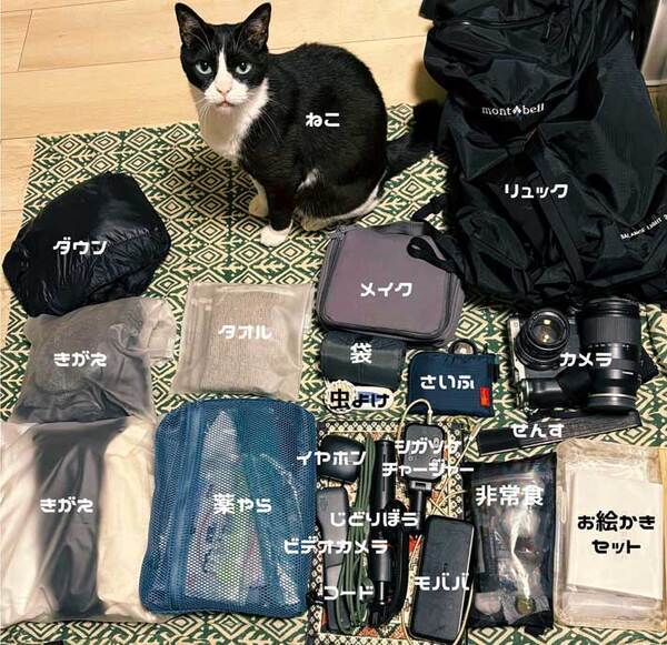 旅行準備中の飼い主を見た猫　その後の行動に「一緒に行く気だ」「準備ばっちり」
