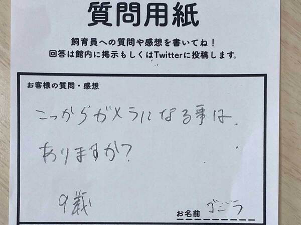 カメが『ガメラ化』することはある？　飼育員の回答が「さすがすぎる！」