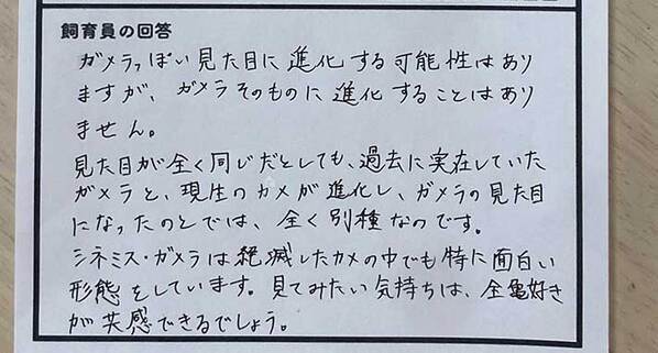 カメが『ガメラ化』することはある？　飼育員の回答が「さすがすぎる！」