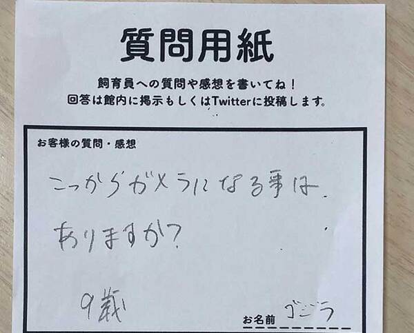 カメが『ガメラ化』することはある？　飼育員の回答が「さすがすぎる！」