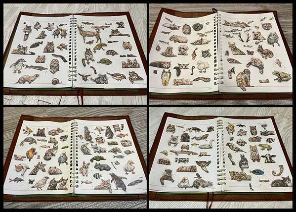 バズから５年、『現在の記録』に１９万人が驚愕　「軽い気持ちで参加したのに…」